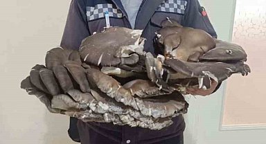 Beyşehir'de doğada bulduğu 10 kiloluk mantar şaşırttı