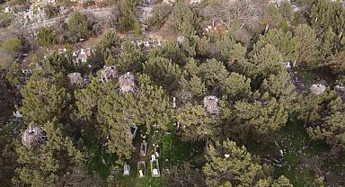 Beyşehir'de yuvalar şenlendi, leylekler vadisi canlandı