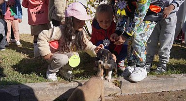 Bilecik Belediyesi Sokak Hayvanları Tedavi ve Rehabilitasyon Merkezi'nde mutlu yaşam