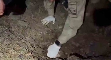 Bilezikler için anneyi ve oğlunu öldüren katil morga gidip, olayı gerçekleştirenleri gördüğünü söylemiş