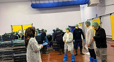 Bingöl'de balık işleme tesisleri denetlendi