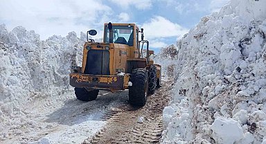 Bingöl'de metrelerce karla mücadele