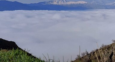 Bir mahalle sis denizinde kayboldu