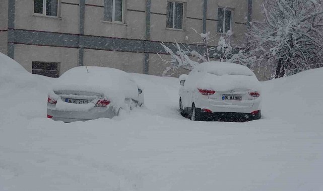 Bitlis'te 111 köy yolu ulaşıma kapandı