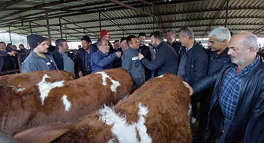 Bolu'da kurban pazarlarında hareketlilik başladı