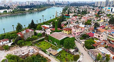 Botanik bahçeyi andıran cami, yeniden sarmaşıklarına kavuştu