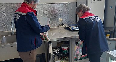 Bozdoğan'da okul kantinleri ve gıda işletmelerine eş zamanlı denetim