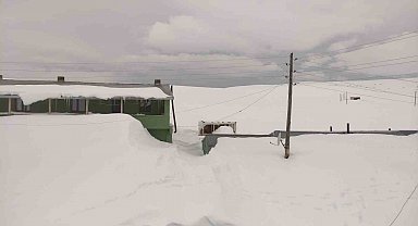 Bülbülan Yaylası'nda evler kara gömüldü