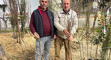 Buldan'ın bereketli toprakları fidanlarla canlanıyor