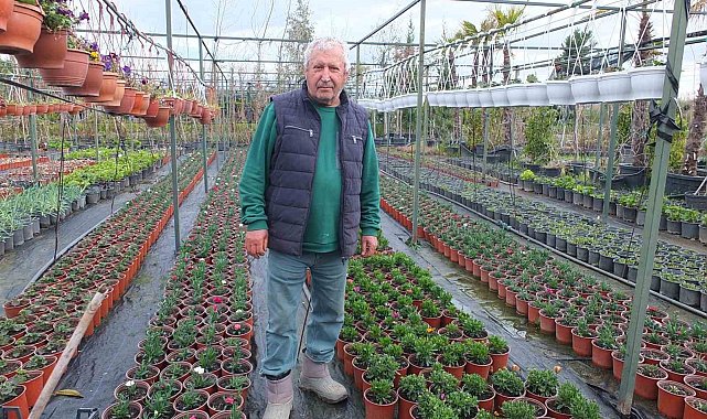 Burhaniye'de emekli bankacı 500 çeşit bitki yetiştirdi
