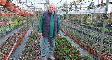 Burhaniye'de emekli bankacı 500 çeşit bitki yetiştirdi