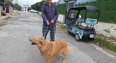 Burhaniyeli emlakçının hayvan sevgisi takdir topladı