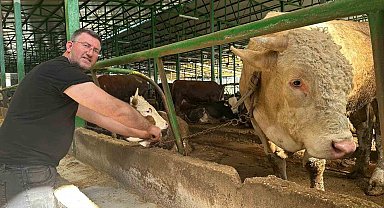 Bursa'da kurban hareketliliği: Tonluk boğayı 400 bin liraya sattı