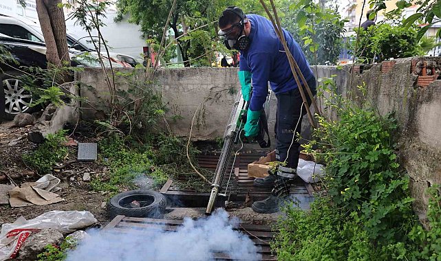 Büyükşehir'den sinek üreme alanlarında yoğun çalışma