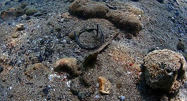 Büyükşehir'den Yat Limanı'nda deniz dip temizliği