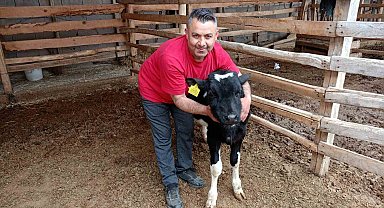 Çal'da Mert için yürekler seferber oldu