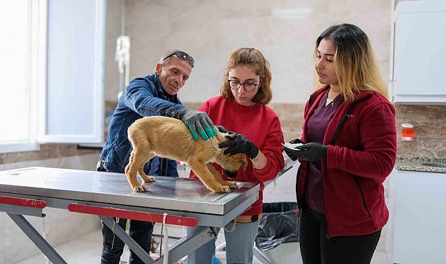 Can dostlar için Menemen'de rekor tedavi sayısına ulaşıldı