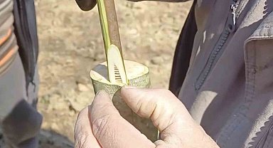 Çanakkale'de 'Aşı Akademisi'