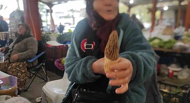 Çanakkale'de dağ köylerinde kuzugöbeği gelir kapısı oldu