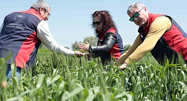 Çanakkale'de ekili ve dikili alanlarda kontroller devam ediyor