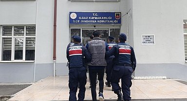 Çankırı'da büyükbaş hayvan çalan şahıslar tutuklandı