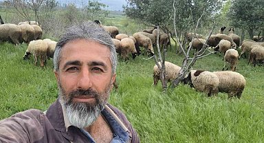 Çeşme sakızı ile Fransız koçunu birleştirdi, verimi katladı