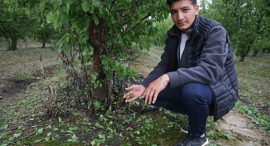 Çevreyi beyaza bürüyen fındık büyüklüğündeki dolu tarım arazilerini vurdu