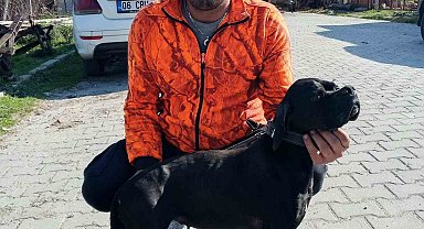 Çiğli'de arıtma tesisindeki çamur çukuruna araçla düşen işçi hayatını kaybetti