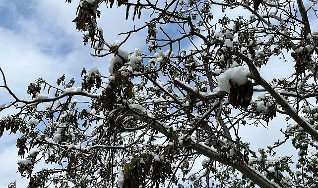 Çorum için zirai don uyarısı