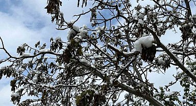 Çorum için zirai don uyarısı