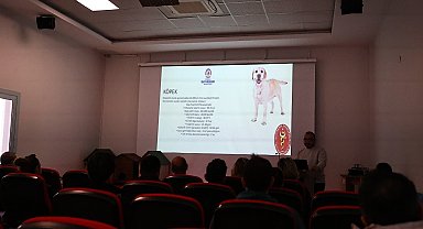 Denizli'de pet shoplara eğitim desteği verdi