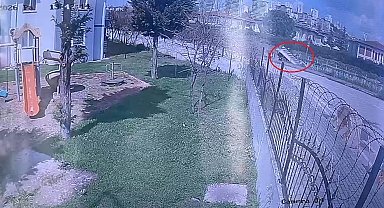 Dereye uçan kamyonetin sürücüsü hayatını kaybetti