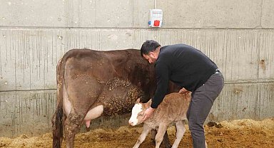 Devlet desteği ile kurduğu akıllı ahır projesiyle verimliliği artırdı