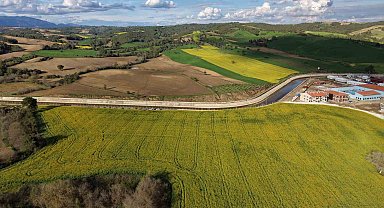 Devlet destekli kanola üretimi Adanalı çiftçinin yüzünü güldürdü