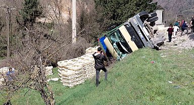 Devrilen kamyondan sürücü kurtuldu, onlarca tavuk telef oldu