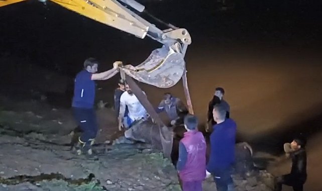 Dicle Nehri'ne düşen ineği itfaiye iş makinesiyle kurtardı