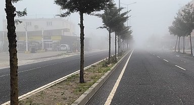 Diyarbakır'da sis etkili oldu