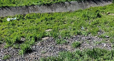 Diyarbakır'da trafik kazası: 1'i ağır 4 yaralı