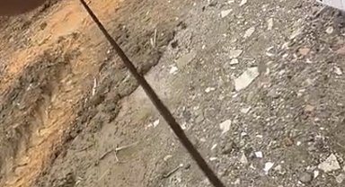 Diyarbakır'da yılanlar kış uykusundan uyandı