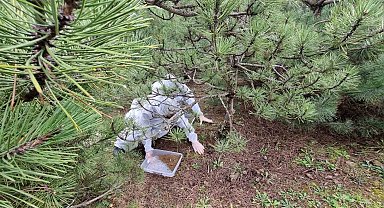 Doğanın sessiz kahramanları görev başında