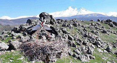 Doğanın uyanışı, Hürmetçi Sazlığı'nda sahneleniyor