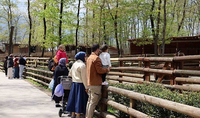 Doğaseverlerin uğrak noktası Ormanya bahara "merhaba" dedi