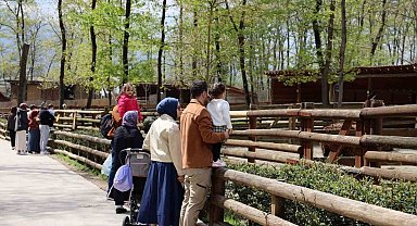 Doğaseverlerin uğrak noktası Ormanya bahara "merhaba" dedi