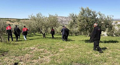 Dolu sonrası hasar tespit çalışmaları başladı