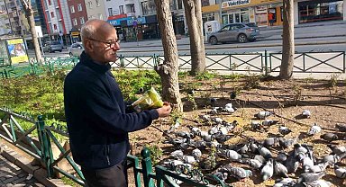 Dükkanının önüne gelen onlarca güvercini doyuruyor