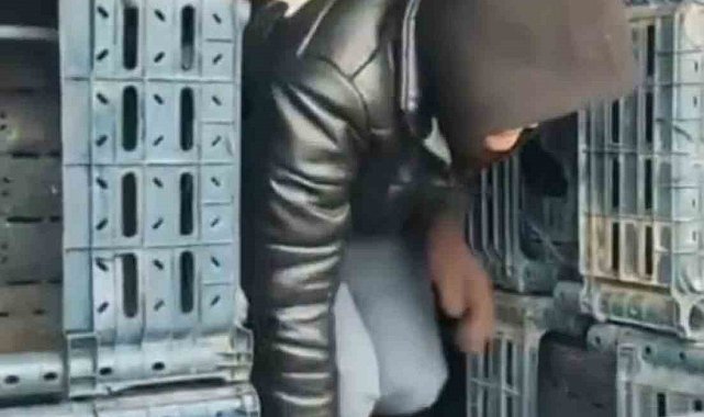 Düzce'de 7 düzensiz göçmen yakalandı