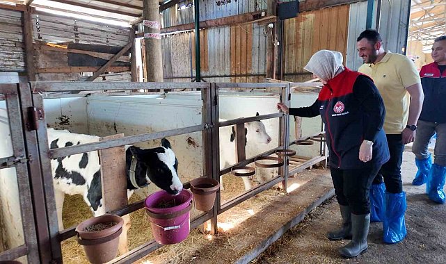 Düzce'de ari işletme sayısı artıyor