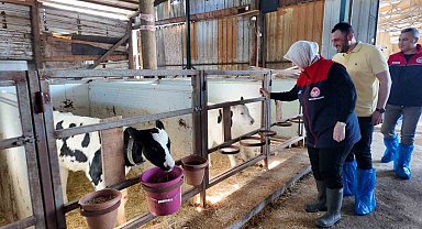 Düzce'de ari işletme sayısı artıyor