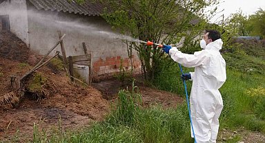 Düzce'de daha uçmadan bitirmek için mücadele başladı