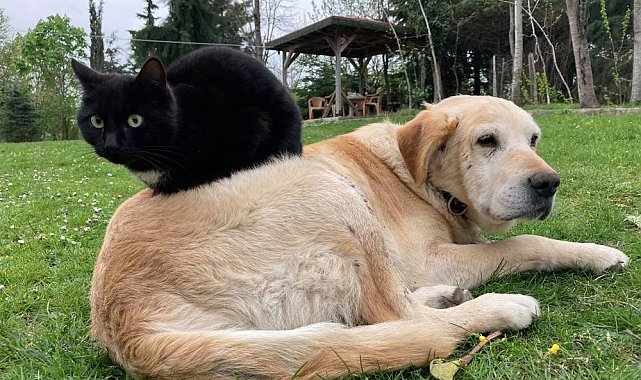 Düzce'de yılın ilk çeyreğinde 531,9 ton ihraç edildi